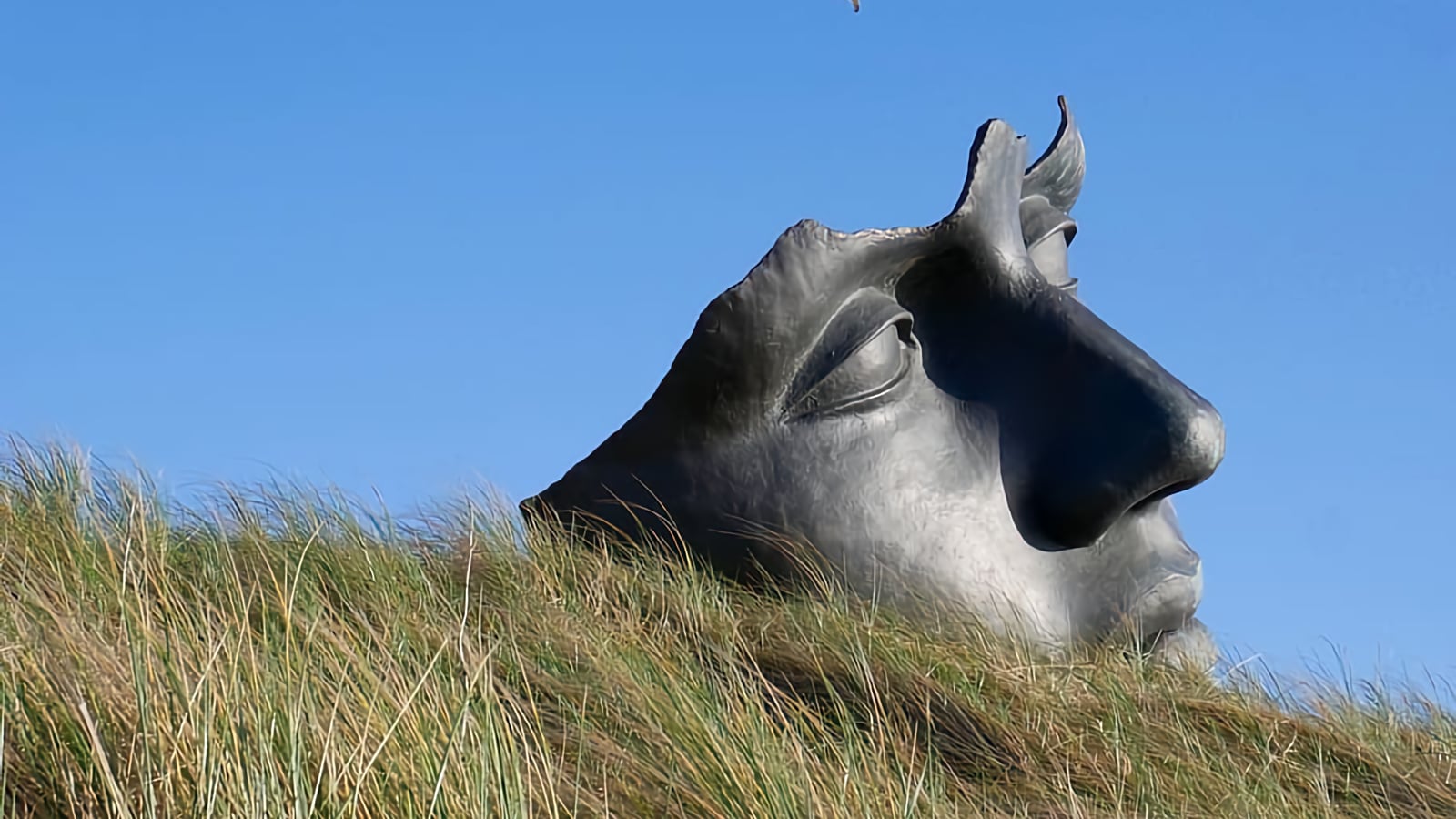 Feldenkrais – what’s the point?